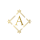ARISTOCRATTI